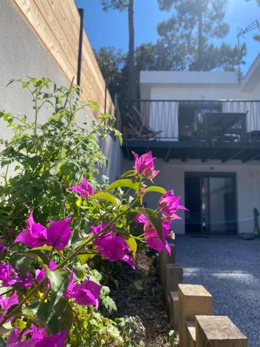 Guest House Dans Le Parc A 400M De La Mer Saint-Georges-de-Didonne Exterior photo